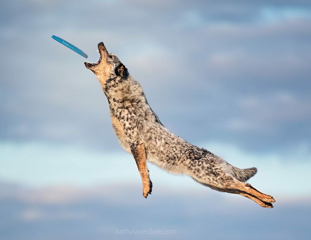 459315159_10162077209114400_4807674458688778441_n